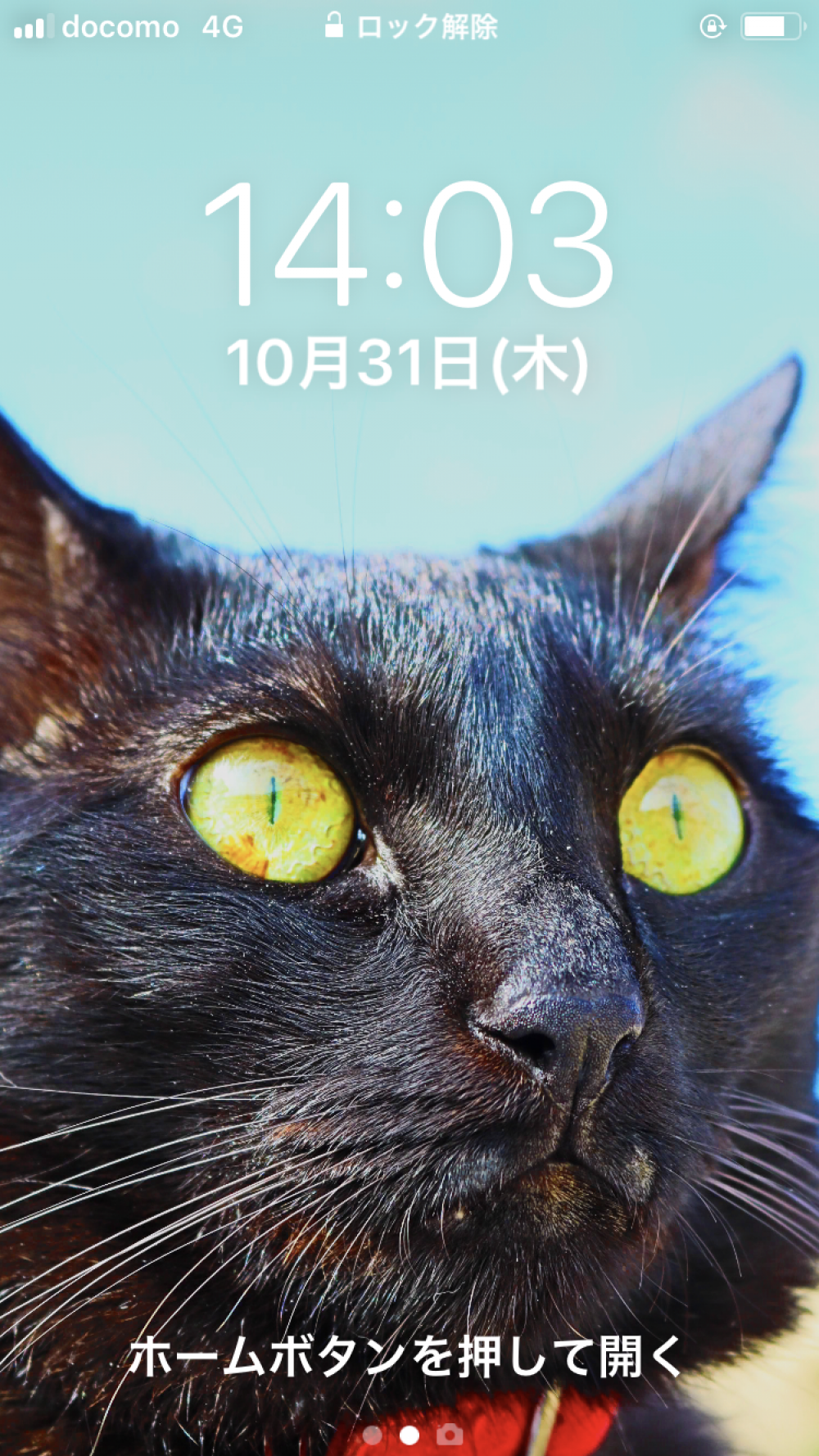 話題の 青山猫愛好会 からまおの登場 待ち受け画面はやっぱり 青山学院大学 Campus Graffiti