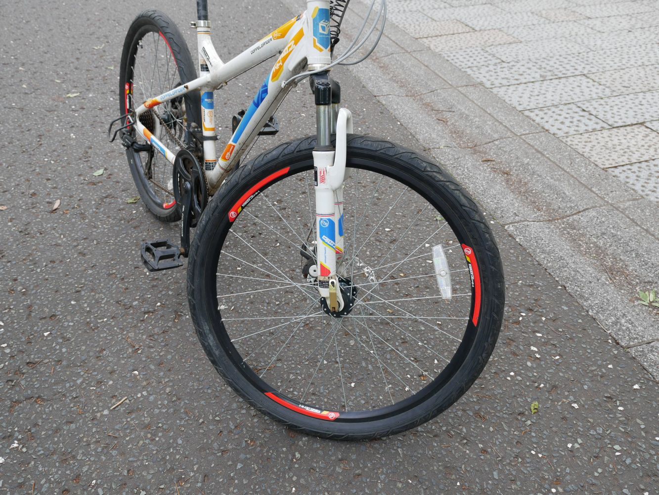 建築都市学部だいちの相棒はコイツだ！タイヤの差し色がかわいい🚲